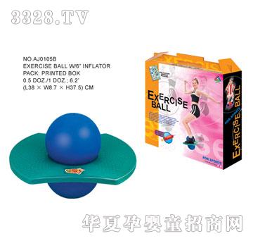 �W�����z������AJ0105B