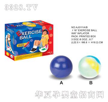 �W�����z������AJ0111AB