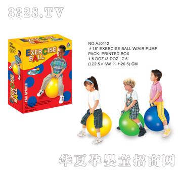 �W�����z������AJ0112