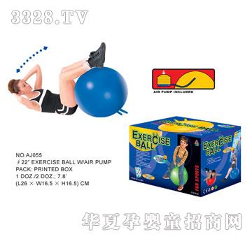 �W�����z������AJ055