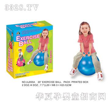 �W�����z������AJ055A