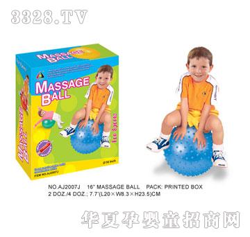 �W�����z������AJ2007J