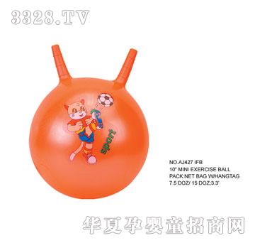 �W�����zPVC�����AJ427IFB