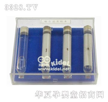 ���������ʷ�˱�