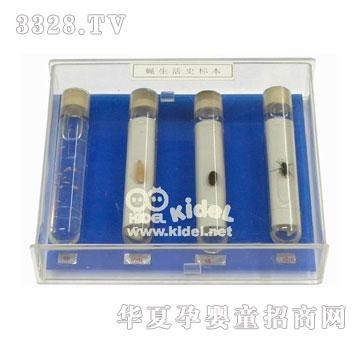 ���ω���Lʷ�˱�