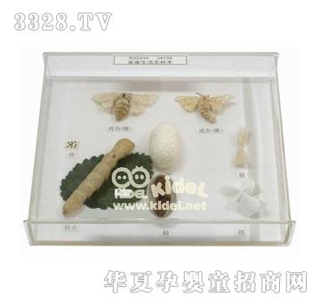 ������Q����ʷ�˱�