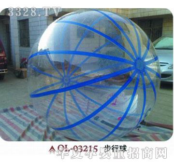 �W�P���Ǳ�-013