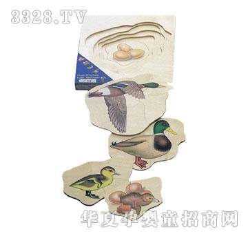 ؐ�������ƴ�D-����