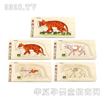 ؐ�������ƴ�D-؈