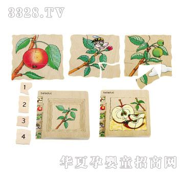 ؐ�������ƴ�D-�O��