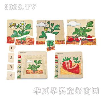 ؐ�������ƴ�D-��ݮ