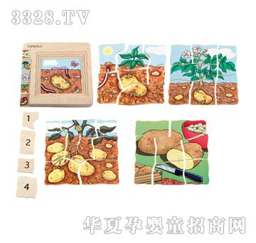 ؐ�������ƴ�D-����