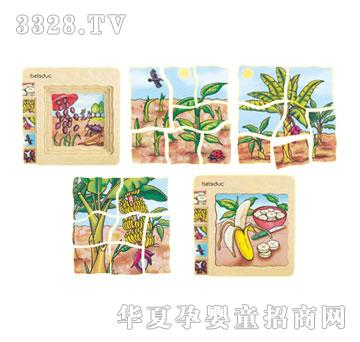 ؐ�������ƴ�D-�㽶