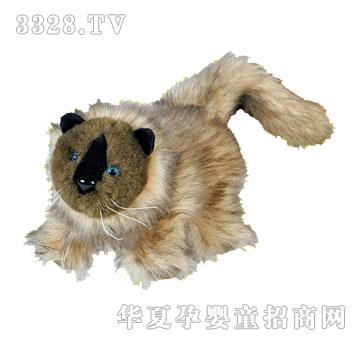 ؐ�������_؈-������ż