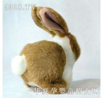 ����¡�L����