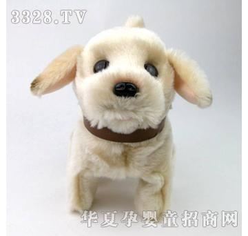 ����¡С�݌���Ȯ