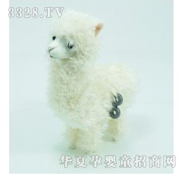 ����¡������