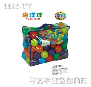 �{��������100��BT1013