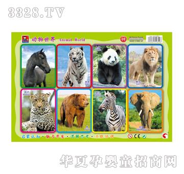 �{�����80801