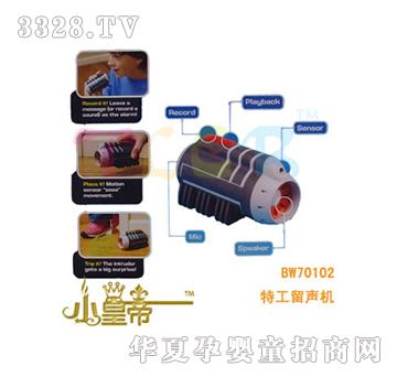 ��A�A���ع��w���l����BW70213