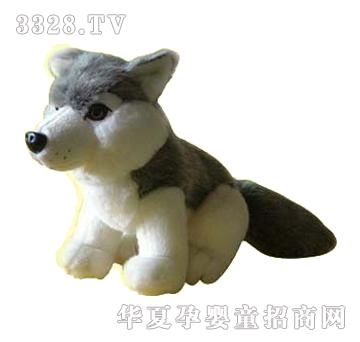 ����11�簢��˹��ѩ�˹�