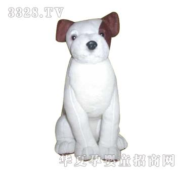 ����13�������