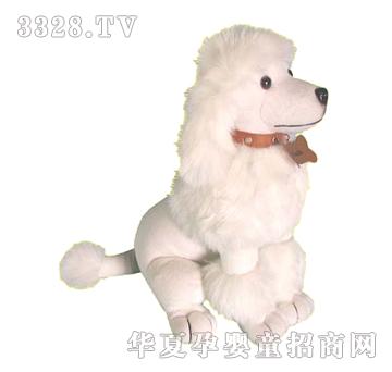 ����14�������F��