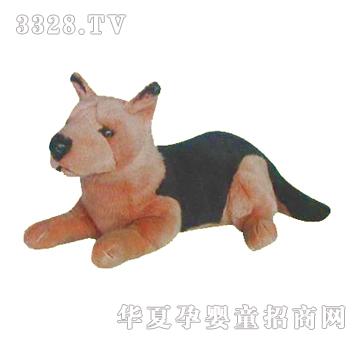 ����15����ڱ����湷