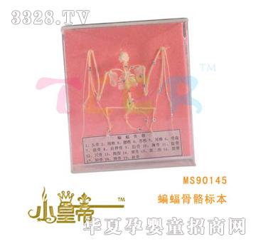 ��A�A����������˱�MS90145