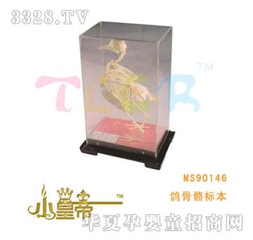 ��A�A���������˱�MS90146