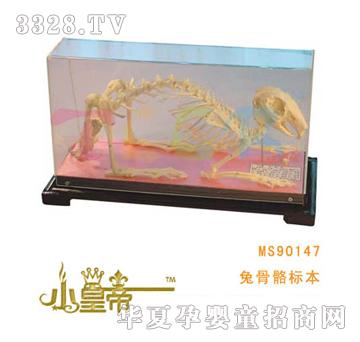 ��A�A���ù����˱�MS90147