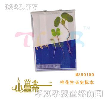 ��A�A���޻����Lʷ�˱�MS90150