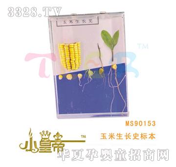 ��A�A���������Lʷ�˱�MS90153