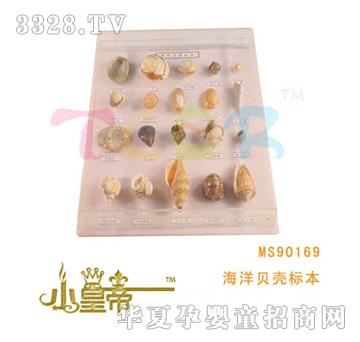 ��A�A������ؐ���˱�MS90169