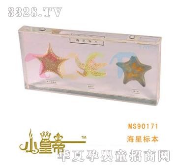 ��A�A�����ǘ˱�MS90171
