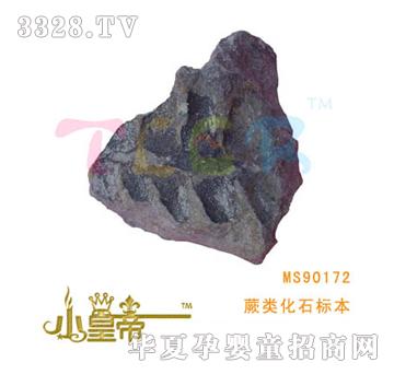 ��A�A��ާ�ʯ�˱�MS90172