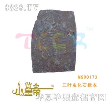 ��A�A�����~�x��ʯ�˱�MS90173