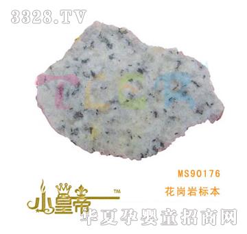��A�A�������r�˱�MS90176