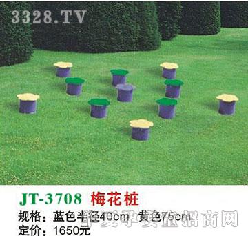 ϲ����JT-3708÷����