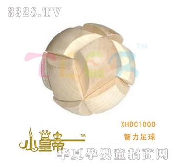 ��A�A����������XHDC1000