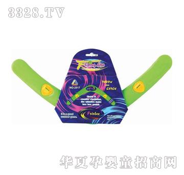 ���_������2517