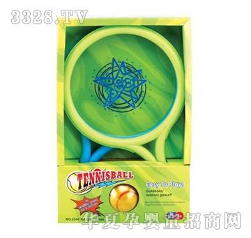 ���_����2541B