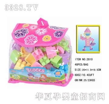 ���_48�K�b�eľ2810