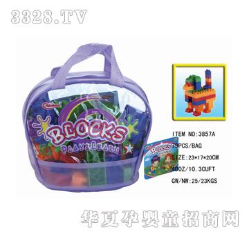 ���_79�K�b�eľ3857A