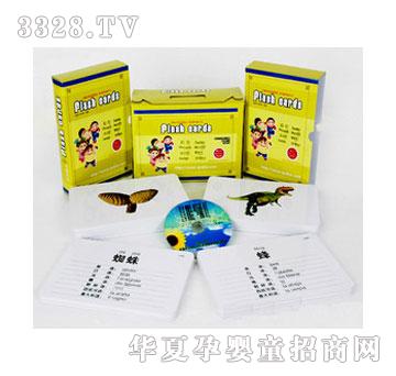 �����`�����Z�԰ٿƿ�