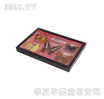 �����`����˱��M��