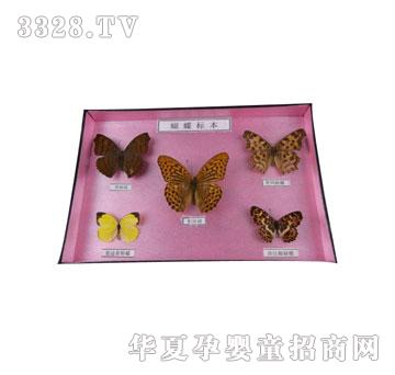 �����`�����˱��M��