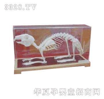 �����`���ӹ����˱�