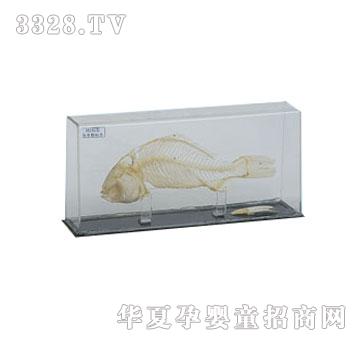 �����`�~�����˱�