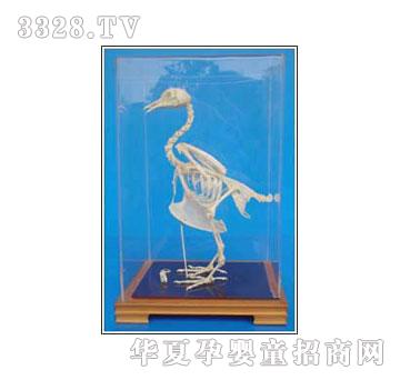 �����`���ӹ����˱�